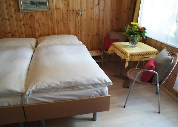 Hotel Alpina
