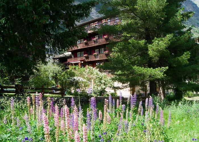 Hotel Alpina